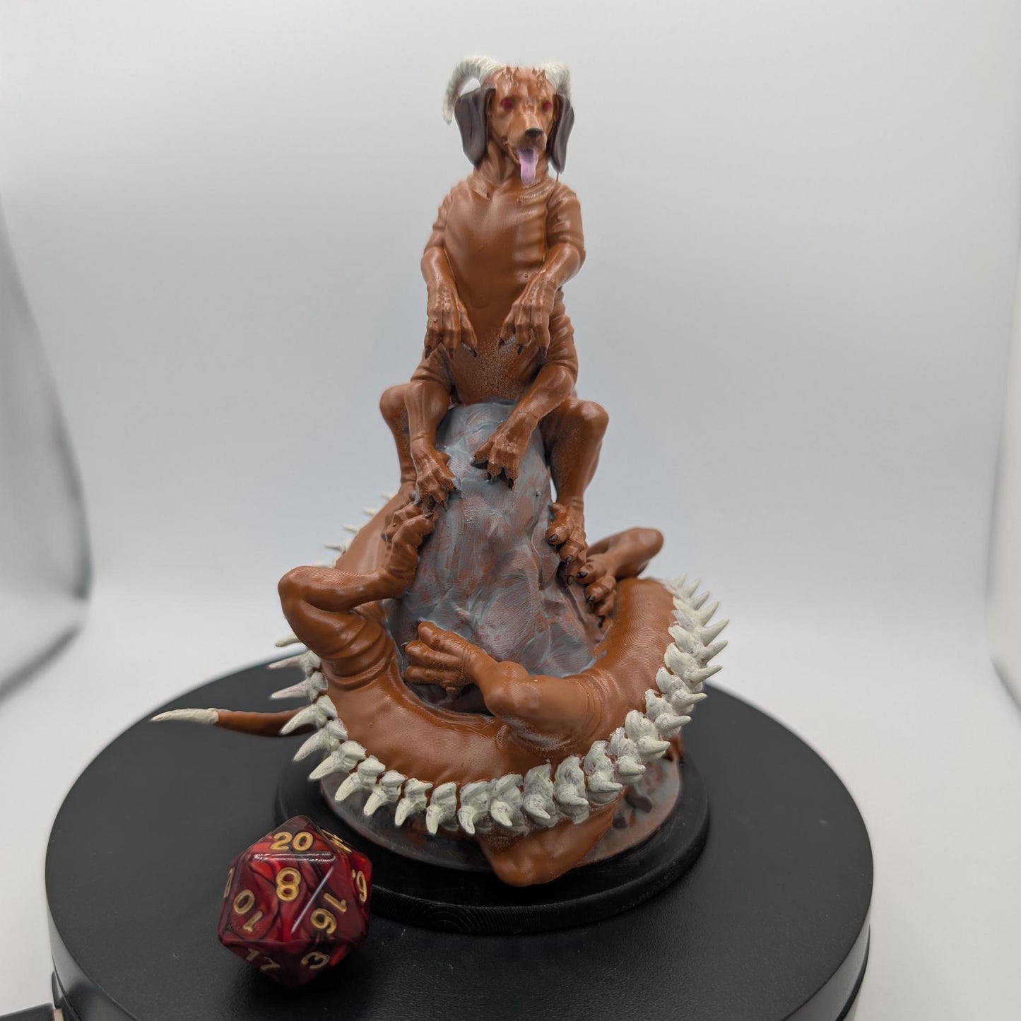Dachshund Bethir (Longboy)