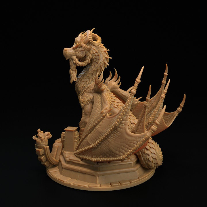 Wise Dragon Shifter