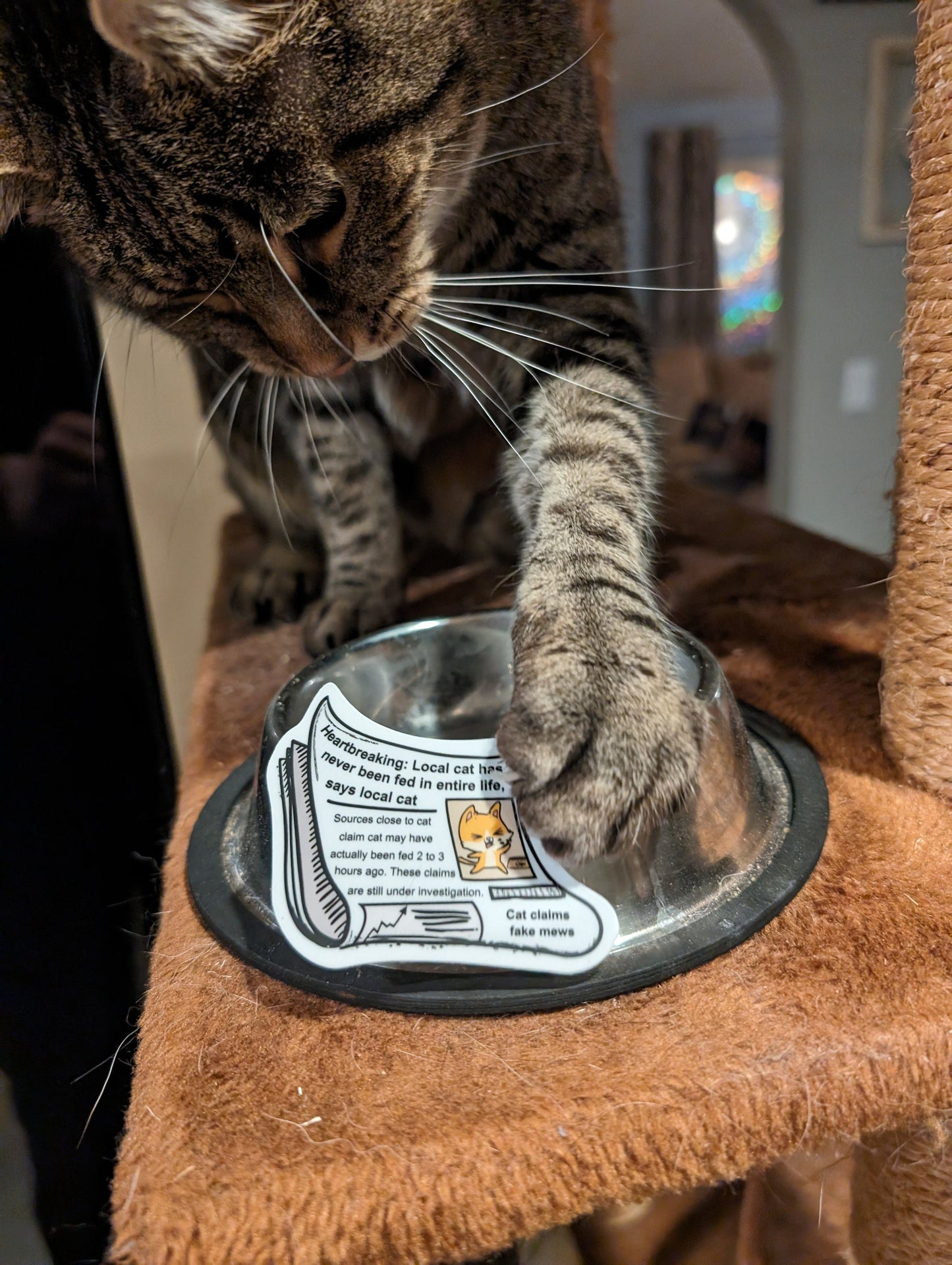 Fake Mews Sticker