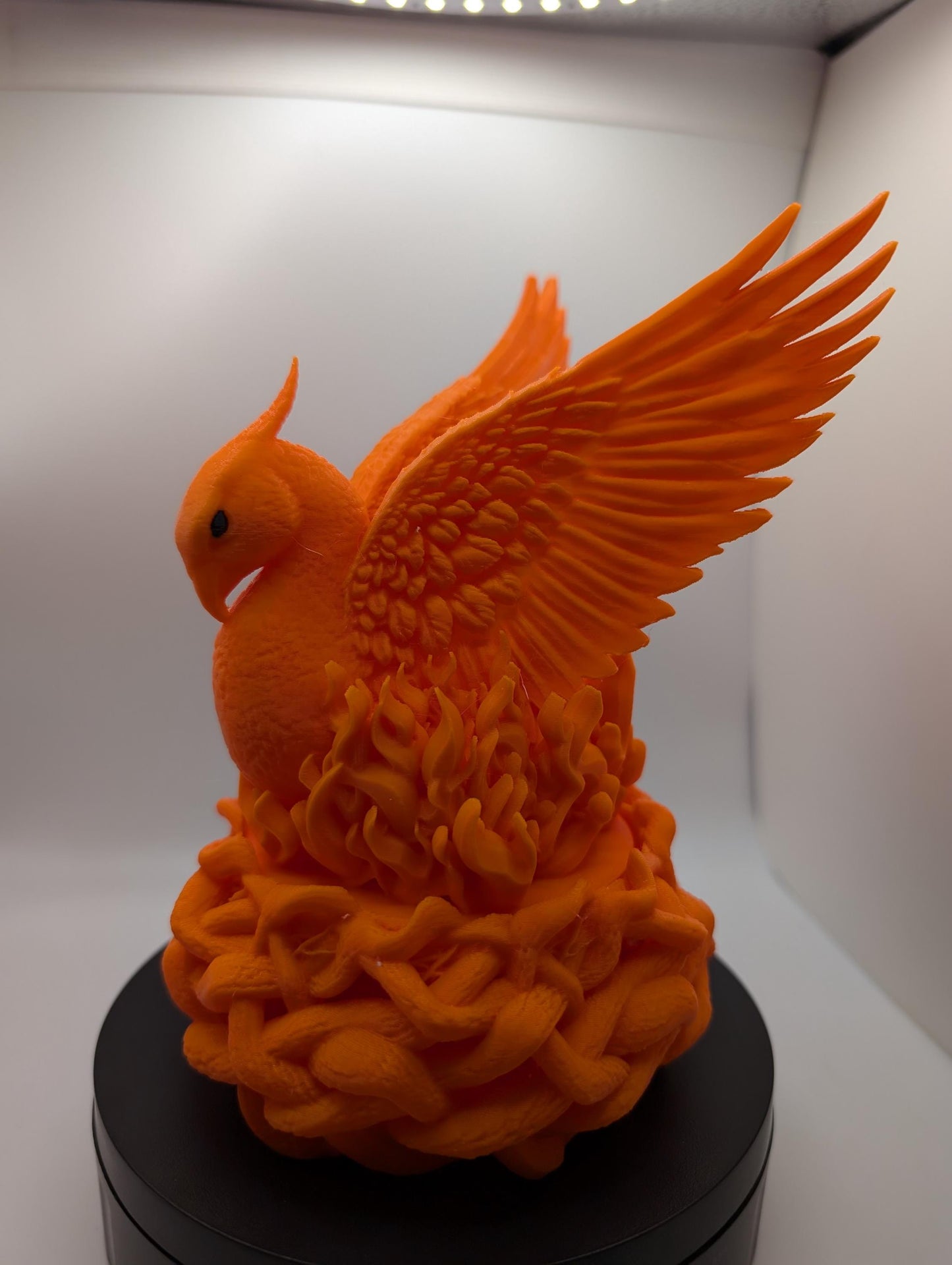 Phoenix Dice Vault