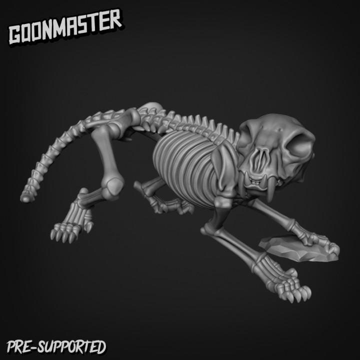 Cat Skeletons