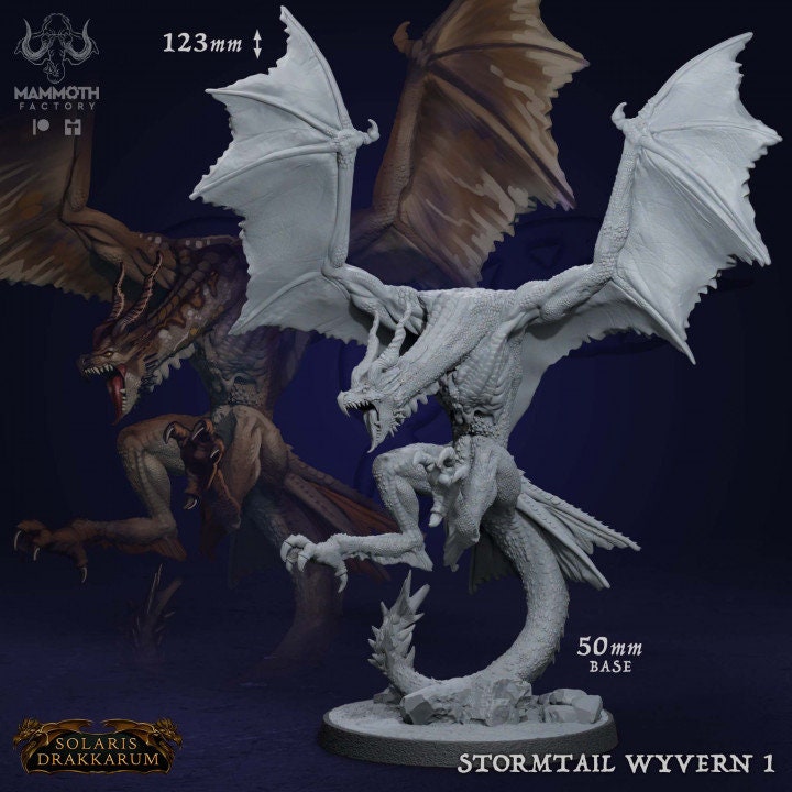 Stormtail Dragons
