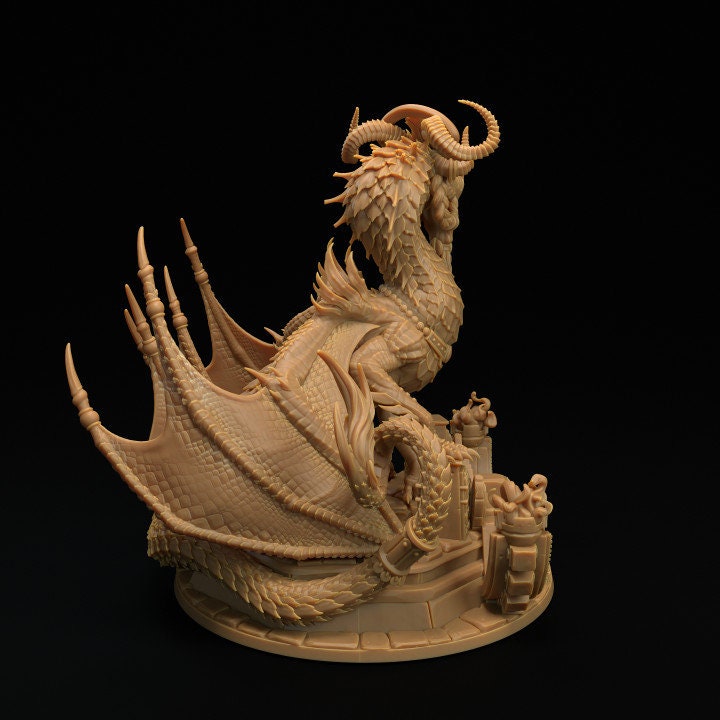 Wise Dragon Shifter