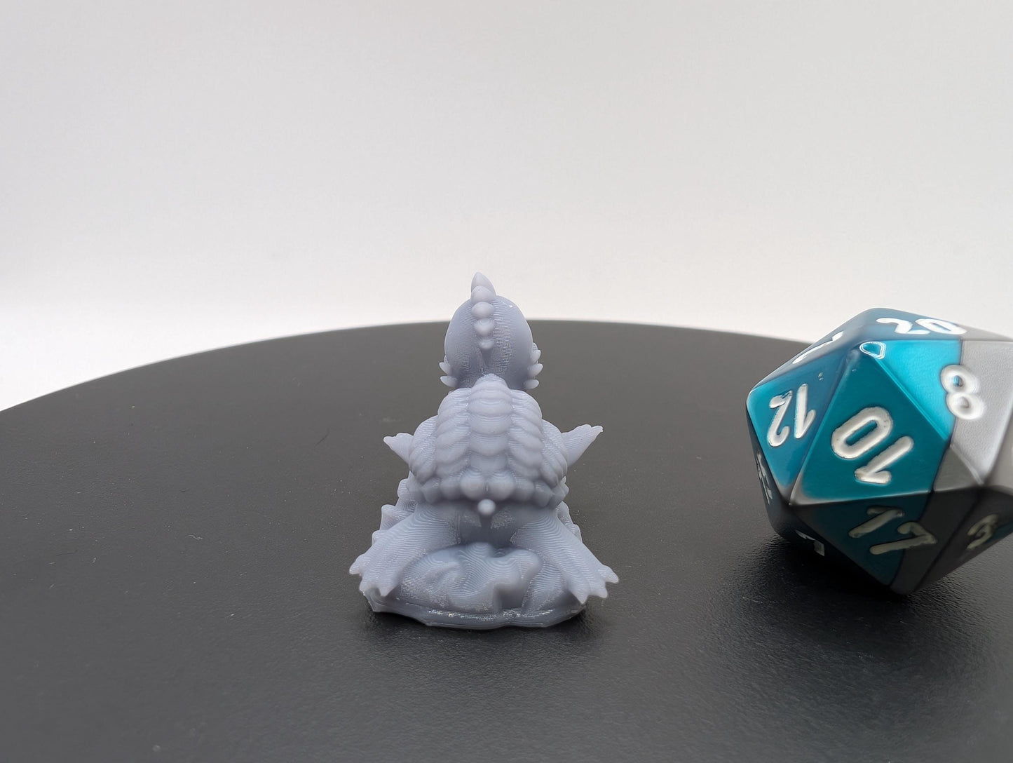 Baby Dragon Turtle and Adult Option