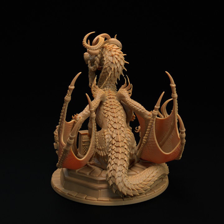 Wise Dragon Shifter
