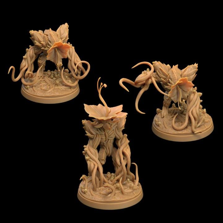 Floralioths (Flower Monsters) - 3 Versions