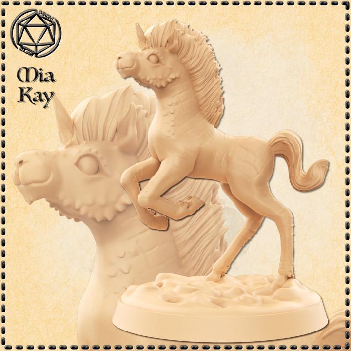 Baby Ki-Rin (Celestial Unicorn) and Adult Option
