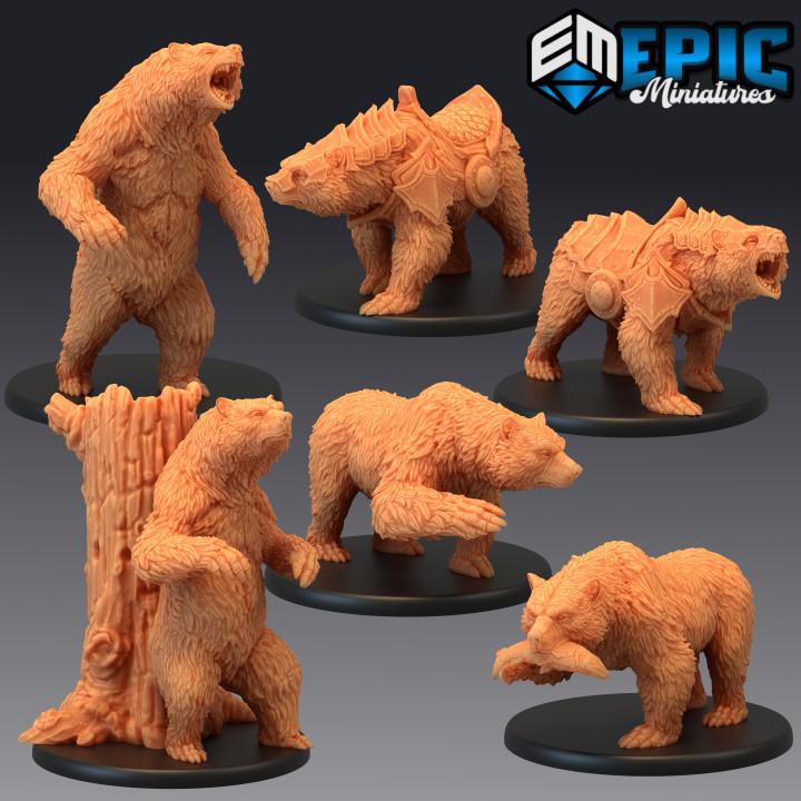 Grizzly Bears