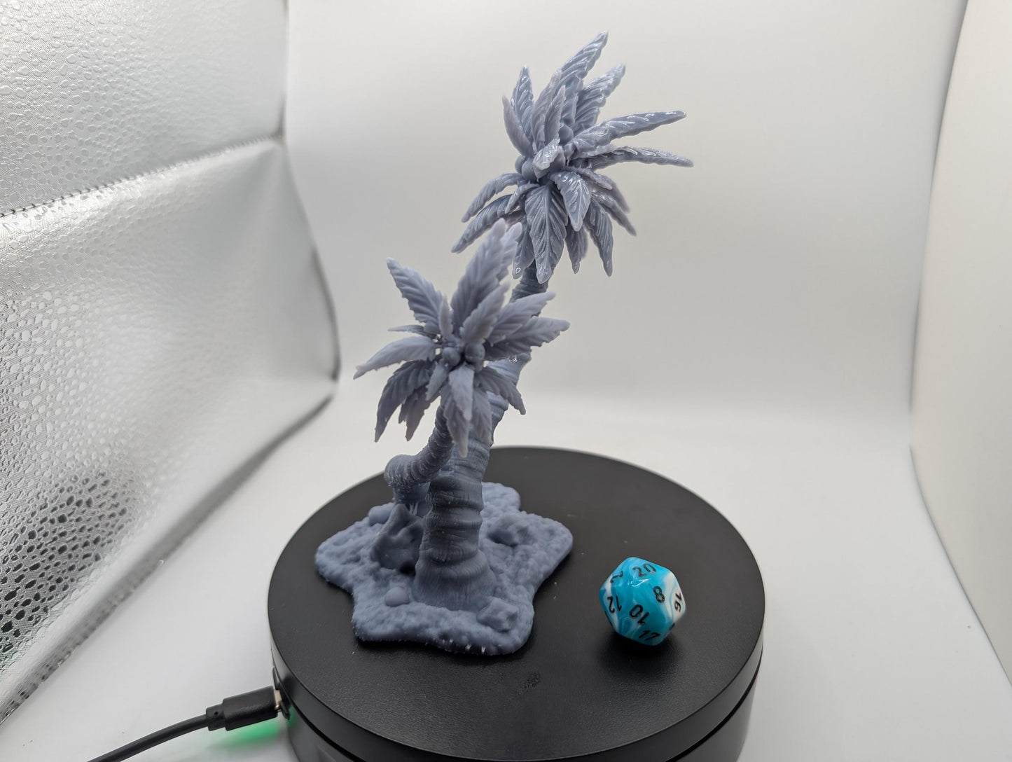 Terrain - Coconut Tree