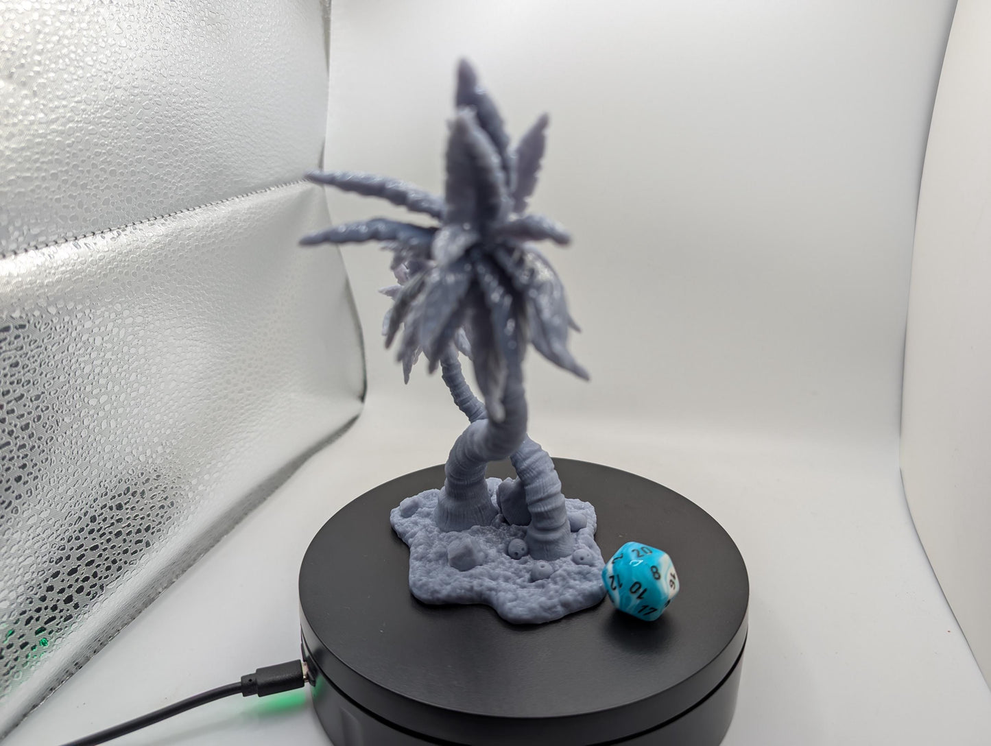 Terrain - Coconut Tree