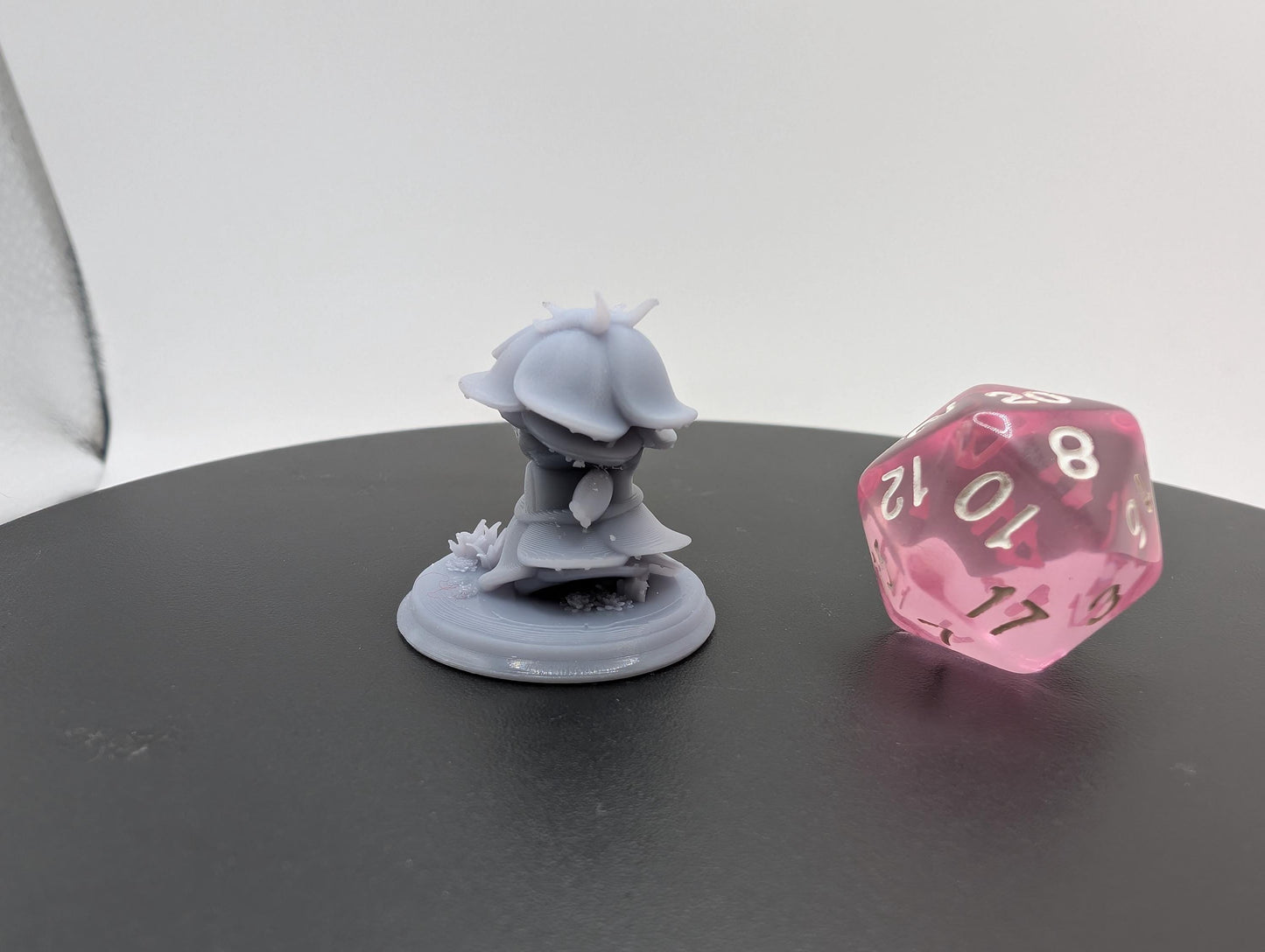 Baby Rose Monstrosity and Adult Option