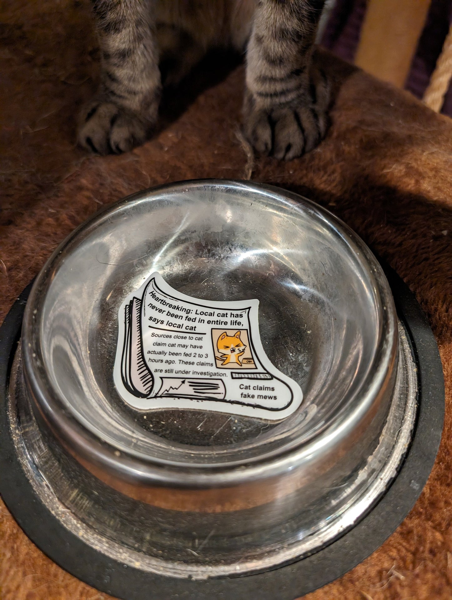 Fake Mews Sticker