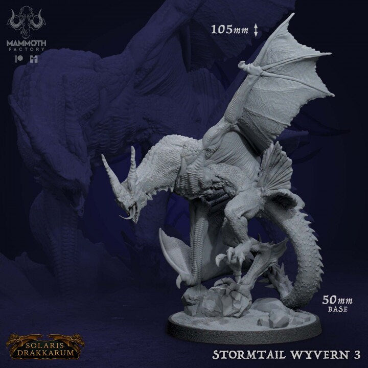 Stormtail Dragons