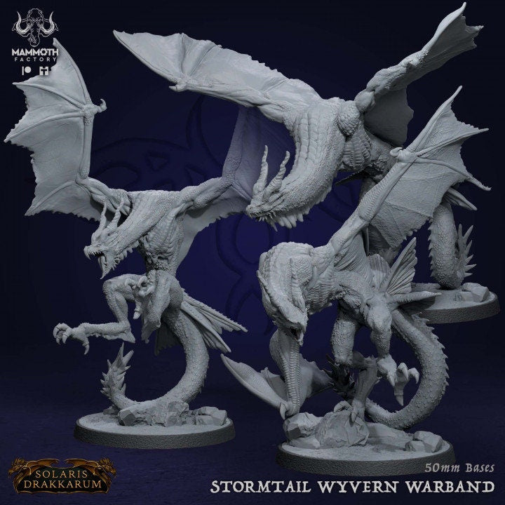 Stormtail Dragons