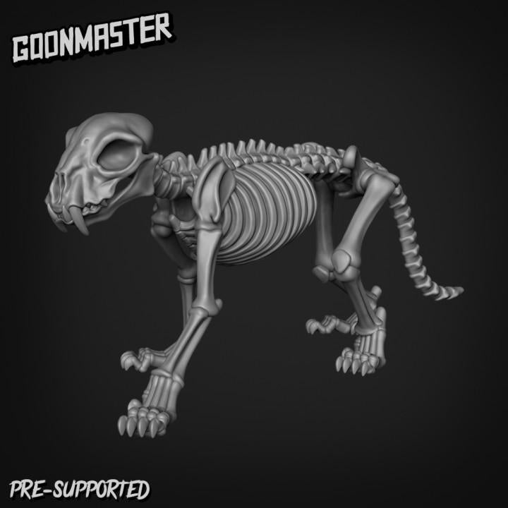 Cat Skeletons