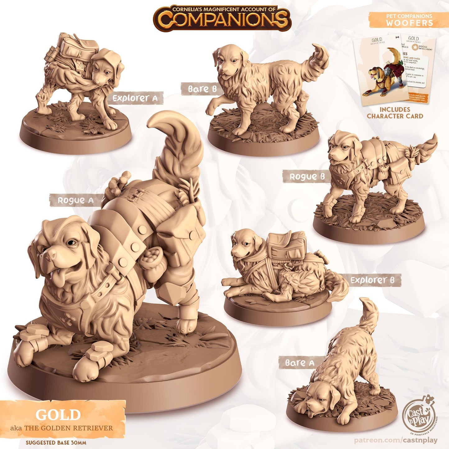 Golden Retriever Dog - Multiple Poses with or without Gear