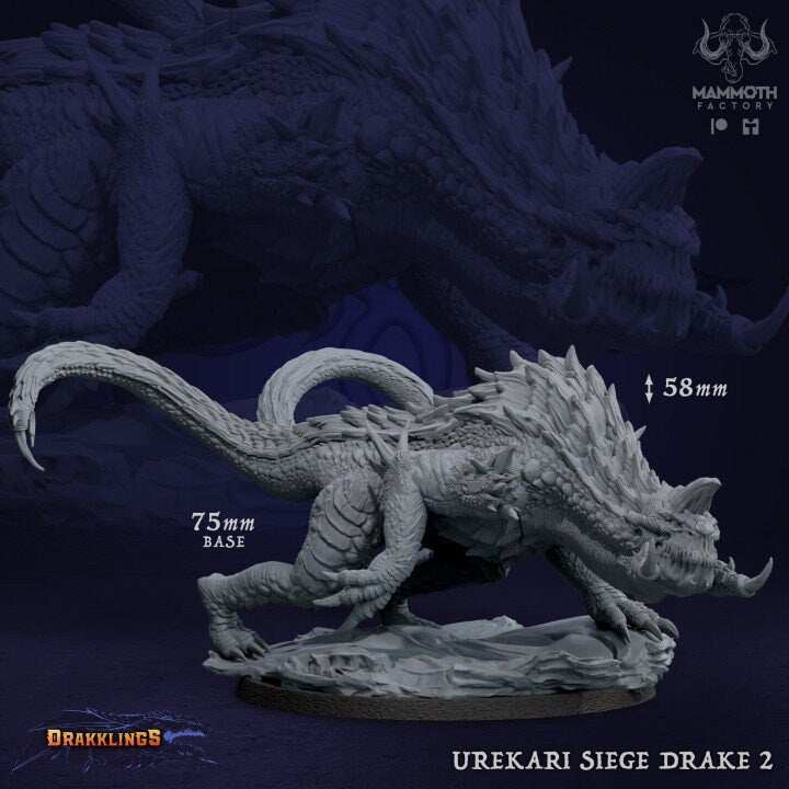 Siege Drakes