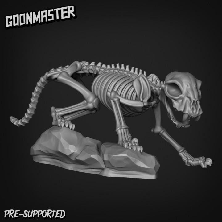 Cat Skeletons