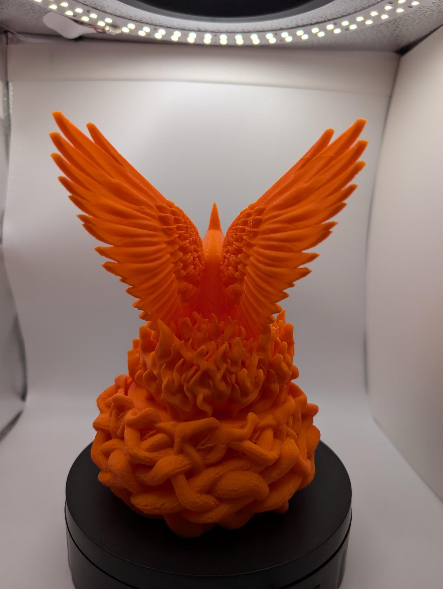 Phoenix Dice Vault