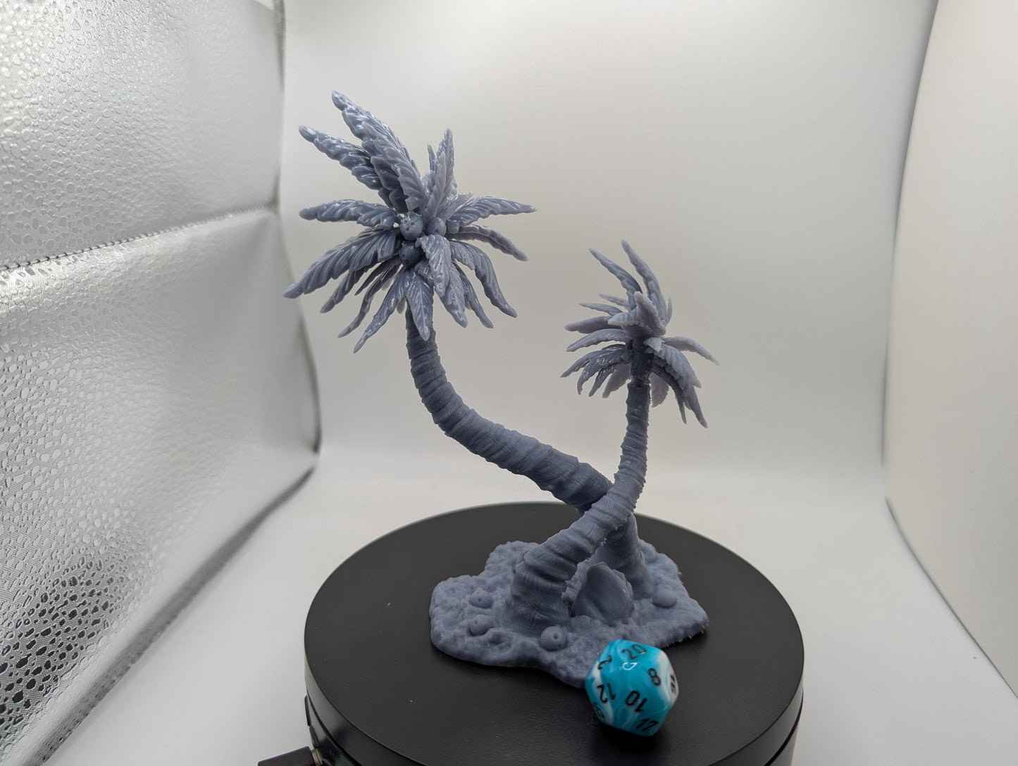 Terrain - Coconut Tree