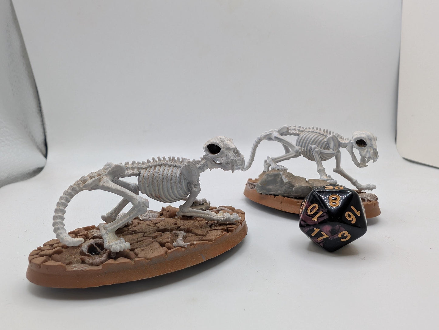 Cat Skeletons