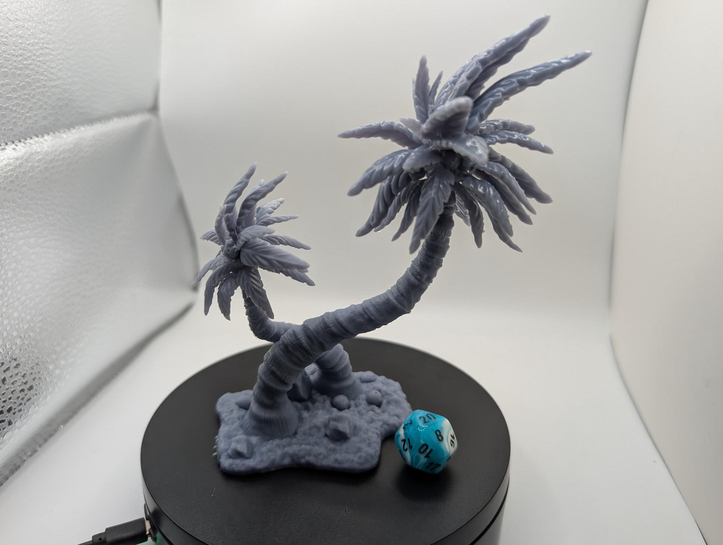 Terrain - Coconut Tree