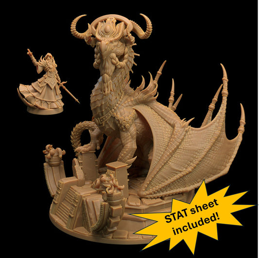 Wise Dragon Shifter