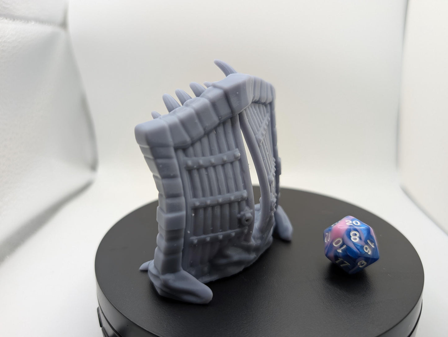 Mimic & Terrain - Dungeon Door