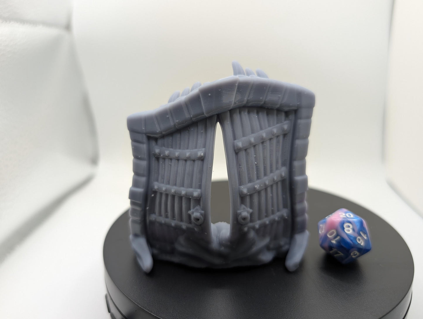 Mimic & Terrain - Dungeon Door