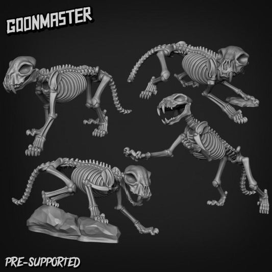 Cat Skeletons