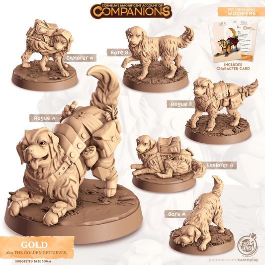 Golden Retriever Dog - Multiple Poses with or without Gear