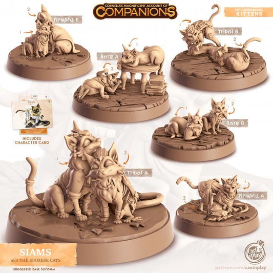 Siamese Cats - Multiple Poses with or without Gear