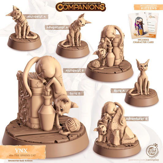 Sphynx Cat - Multiple Poses with or without Gear